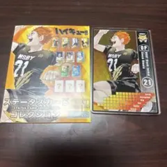 ハイキュー！！ステータスカードコレクション　日向翔陽