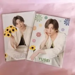 FANTASTICS 八木勇征 フォトカ SUNFLOWER