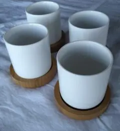 pecolo Food Stand S(Tall)ラテ 深型 浅型 陶器 ペコロ - メルカリ