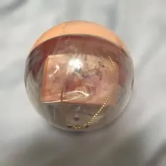 ディズニー 40周年 カプセルトイ