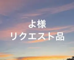 よ様 リクエスト 2点 まとめ商品