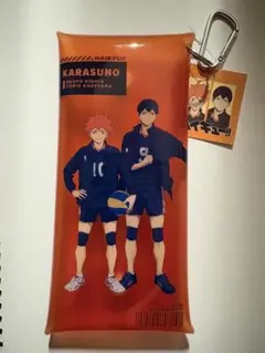 ハイキュー!! 日向翔陽 影山飛雄 ポーチ ペンケース