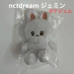 2026年最新】Nct dream ぬいぐるみ ジェミンの人気アイテム - メルカリ