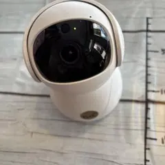 Item thumbnail for item f609a792-eb92-4e9b-86f0-82762158c13c