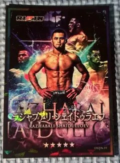 Item thumbnail for item edfb4079-a457-4521-8f2d-e22dd809b328