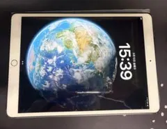 Apple iPad Pro (10.5インチ)本体