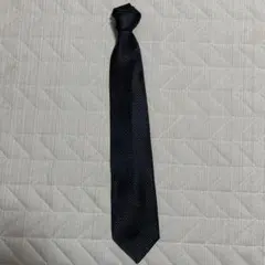 Item thumbnail for item 935b96b4-c1a9-419e-a0ea-54437d20e8c1