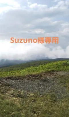 呪術廻戦　Suzuno様専用ご確認ページ