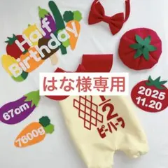 【3/11発送】はな様専用