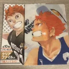 ハイキュー JC柄 クリアファイルコレクション 日向翔陽 影山飛雄 A5