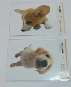 Item thumbnail for item e934355b-e68c-4665-b179-95082cd0ea06