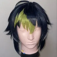 東雲様専用 マネキン込 にじさんじ 伊波ライ ウィッグ コスプレ - メルカリ