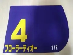 東京シティ競馬 東京ダービー 重賞レプリカゼッケン（プローラーティオー）