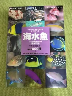 迅様 リクエスト 2点 まとめ商品