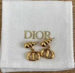 Dior ロゴデザイン ピアス(両耳用)