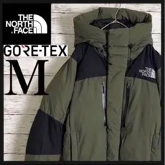 【定番人気デザイン】ノースフェイス バルトロライト ダウンジャケット 即完 美品