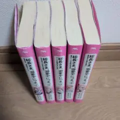 総長さま、溺愛中につき。 5巻セット