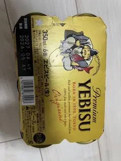 [총 8캔] 삿포로 에비스 맥주 350ml 6캔 팩+2캔