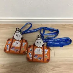 東京ディズニーリゾート 35周年 限定パスケース