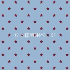 ちゃ様専用ページ 白大3個水色大3個