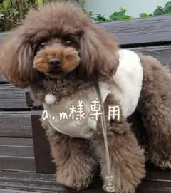 首輪一体型✰パラコードリード　a.m様専用