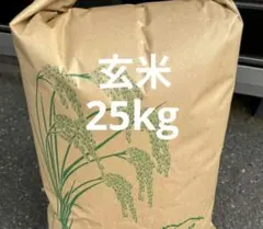 限定 1袋 　送料無料　玄米　25kg　お米　最安値　令和7年　うるち　茨城産のサムネイル