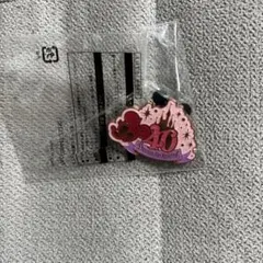 ディズニー　40周年ピンバッジ