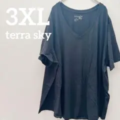 ⭐️161 terra sky 3XL 24w 26w 半袖 トップス 大きめ