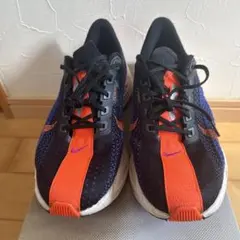 NIKE ペガサスプラス　26.5cm used