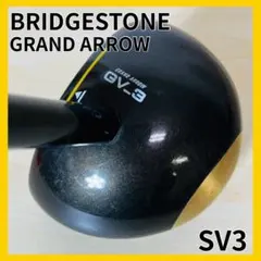 Item thumbnail for item 3c7a1e09-bcbd-4cd1-946b-6c06c7ea4009