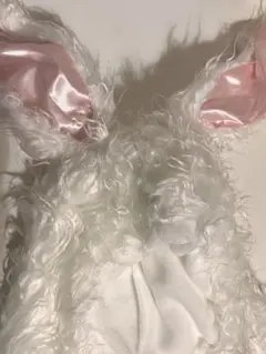 Item thumbnail for item bce8d1ae-db07-4087-a933-5e08781177b7