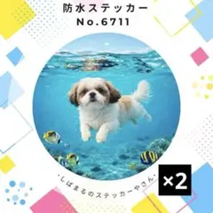 【2枚セット❣️】シーズー防水ステッカー 海