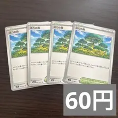 活力の森 M1S