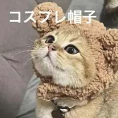 Item thumbnail for item 878d2b57-04d4-4fd3-9135-25871d6d756b