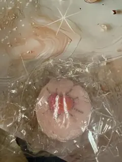 Moon Sun 月兎屋