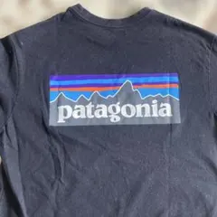 Patagonia Tシャツ ブラック Sのサムネイル