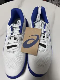 ASICS GEL-RESOLUTION X 25.5cm