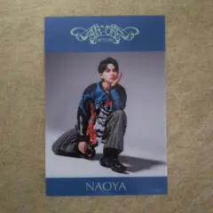 ONE N' ONLY ワンエンオンリー NAOYA クリアシート