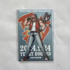 ストリートファイター6 スト6 マグネット がんばれジュリちゃん テリー