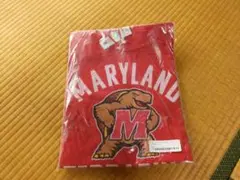 Item thumbnail for item 662c008e-cc0c-4173-b634-3dc78106665b