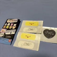 Stray Kids CharmAid チャームエイド skzooボガリ