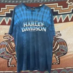 Harley-Davidson ハーレーT イーグル US古着 アメカジ