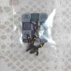 ポケモン　メタルチャーム　ブイズ　まとめ　ポケットモンスター　ブラッキーなど ポケモン メタルチャーム ブイズ まとめ ポケットモンスター