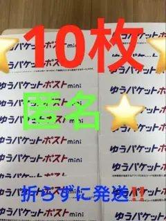 ゆうパケットポストmini 専用封筒 10枚セットその130