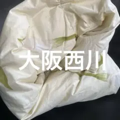 羽毛掛け布団 肌掛け