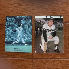カルビー 1976プロ野球カード 田淵幸一 阪神タイガース - メルカリ