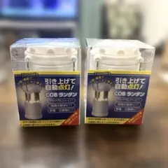 Item thumbnail for item 70bcc00a-beb8-4914-b839-03a0f77f4662