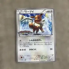 ポケモンカード イーブイ プロモ 213/BW-P ジムプロモ 0638