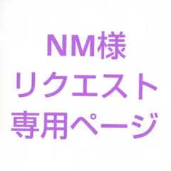 NM様　リクエスト　専用ページ　おもちゃ
