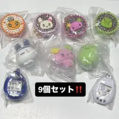 【降價中‼️】塔麻可吉 轉蛋玩具 9個一套